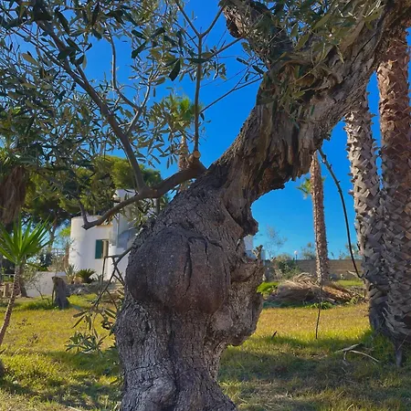 ベッド・アンド・ブレックファスト Tenuta Kalos