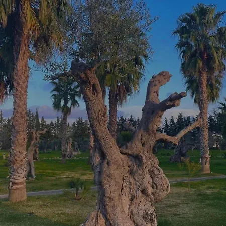 Tenuta Kalos Bed & Breakfast