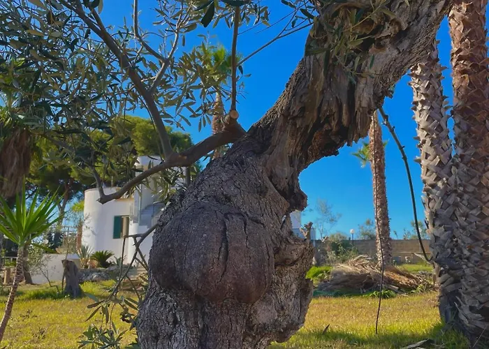 Bed & Breakfast Tenuta Kalos