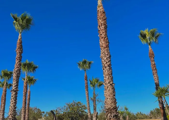 Tenuta Kalos 3* Gallipoli